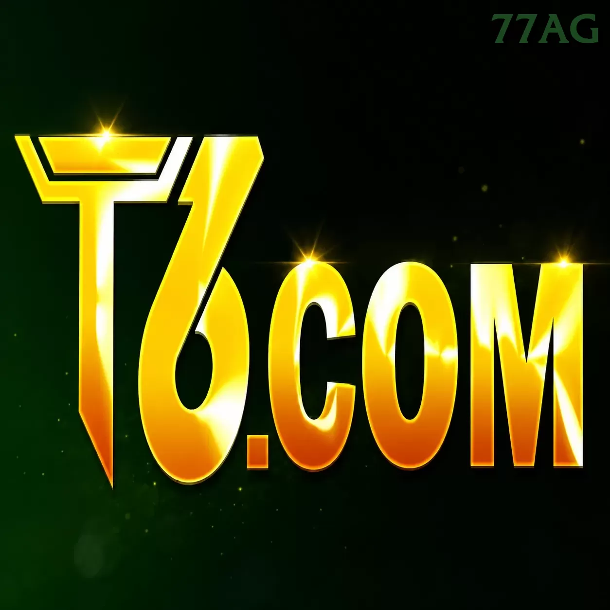 t6 - 4